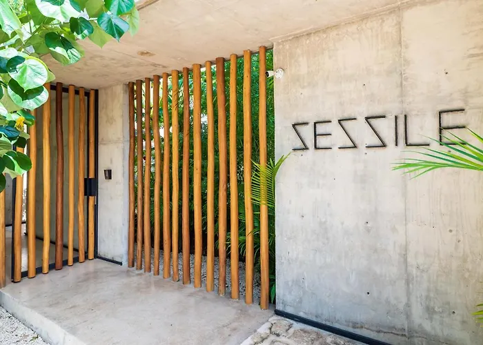 Sessile By The Spot