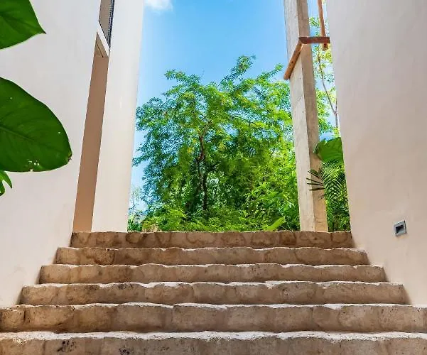 Sessile By The Spot * Tulum
